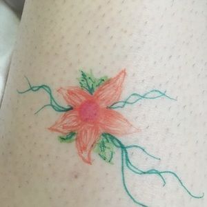 Meet your Posher, Karissa